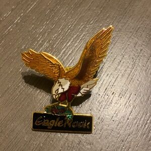 Eagle Nook Pin